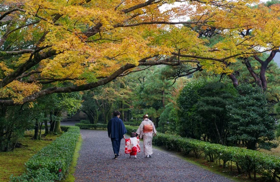 大切なお子様の七五三、着物クリーニングはお任せください！