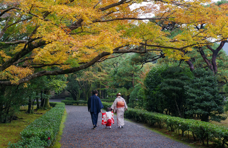 大切なお子様の七五三、着物クリーニングはお任せください！