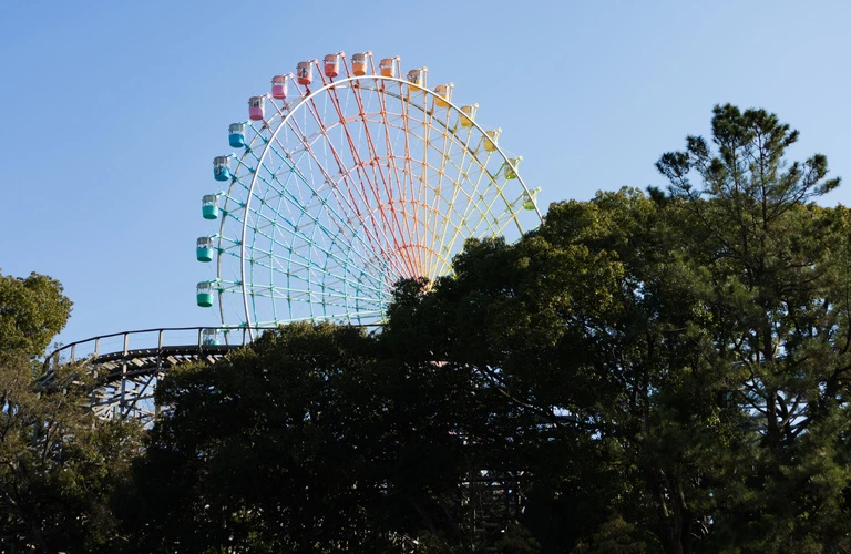 着物の汚れ、シミ、破れを徹底的にリフレッシュ！枚方市で信頼される着物丸洗いクリーニングサービス